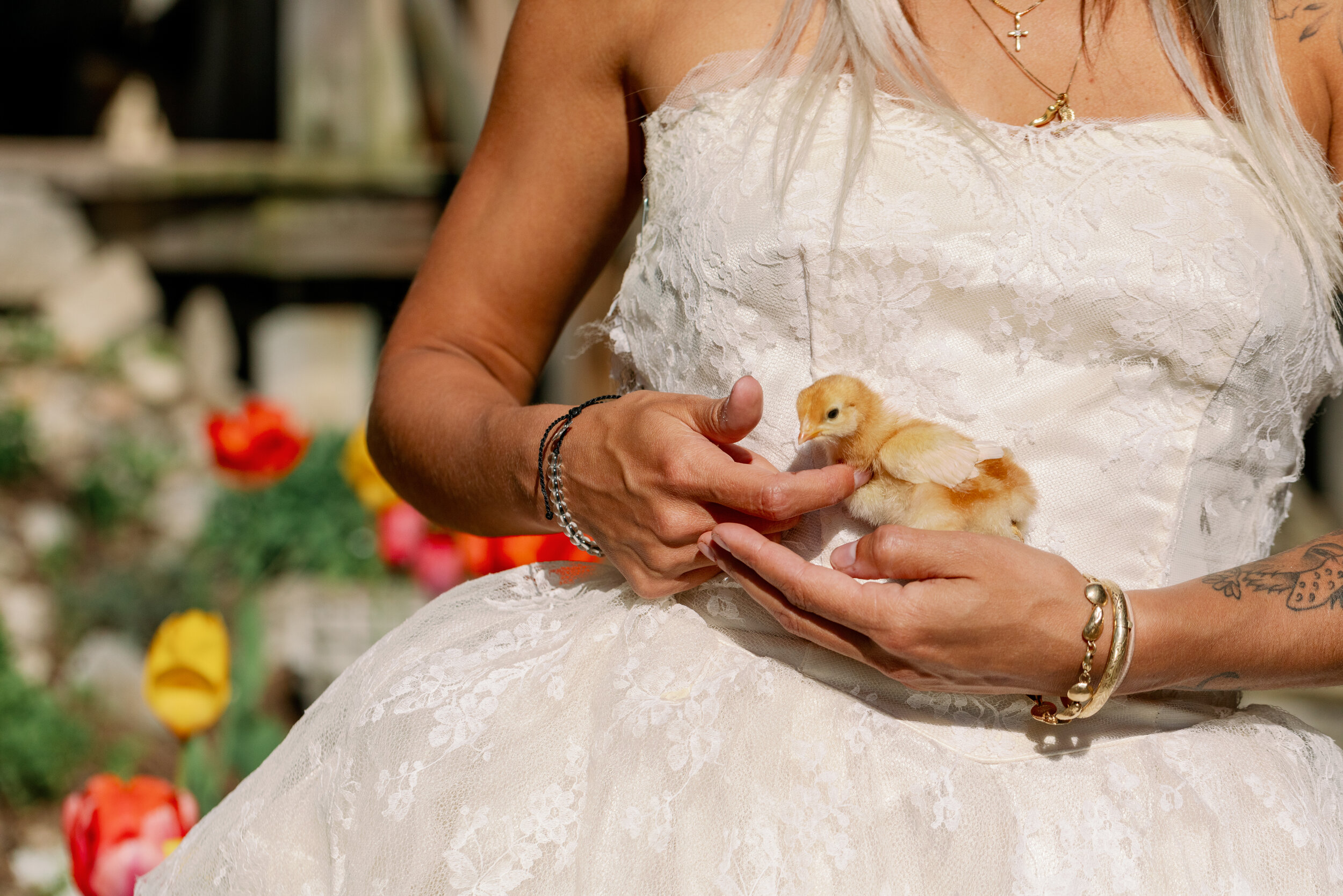 bride and baby chick
